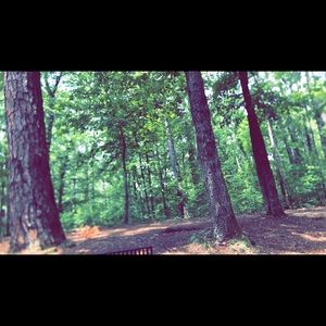 Meet your Posher, Meagan